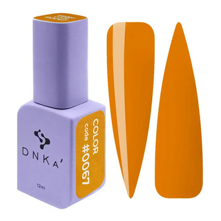 Dnka' #0067 Gel Color 12ml