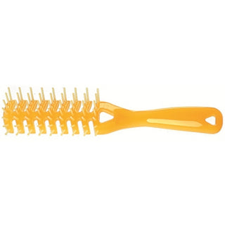 Guenzani Professional Spazzola Scheletro Colorata